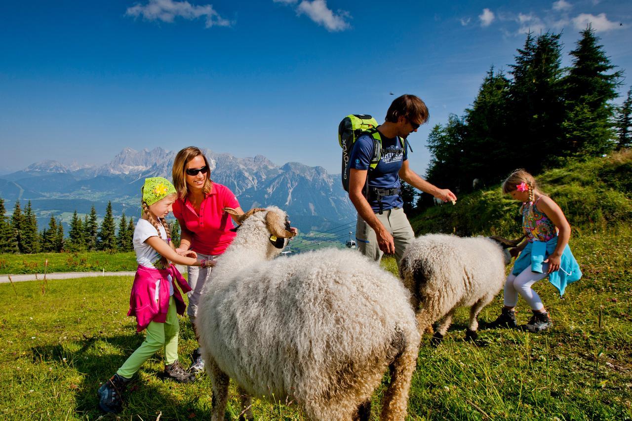 Alpenrock Appartements By Schladming-Appartements Luaran gambar